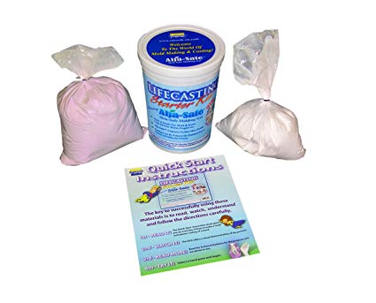 Lifecasting Alja-Safe Starter Kit